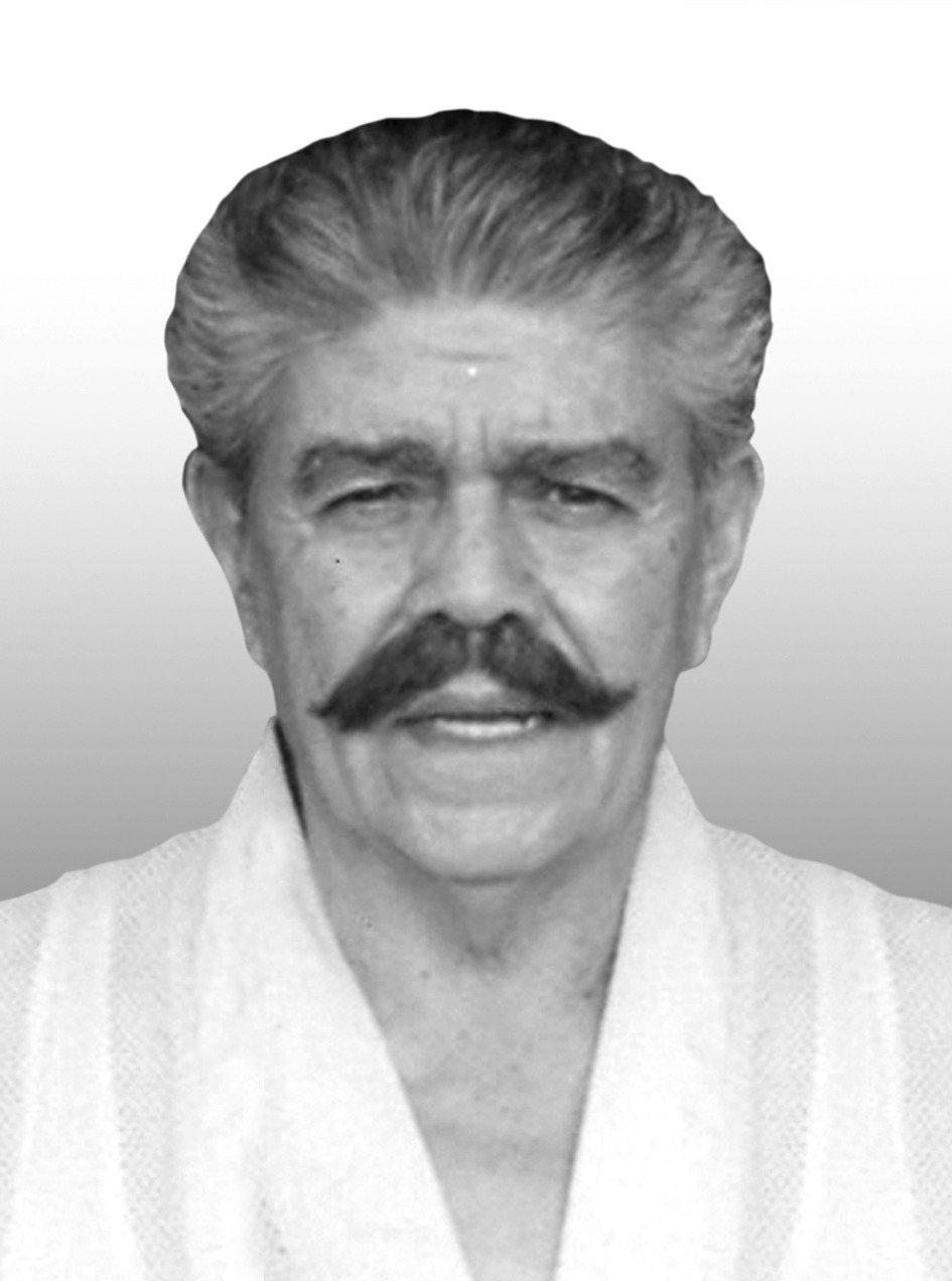 Ing. Andrés López Velasco